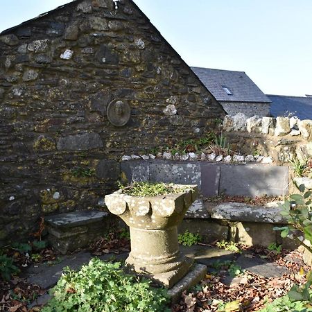Crug Glas Country House St. Davids  Dış mekan fotoğraf