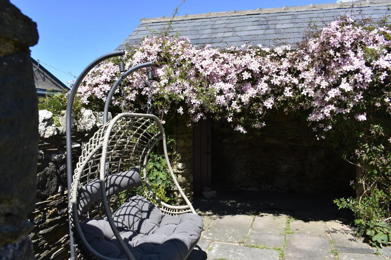 Crug Glas Country House St. Davids  Dış mekan fotoğraf