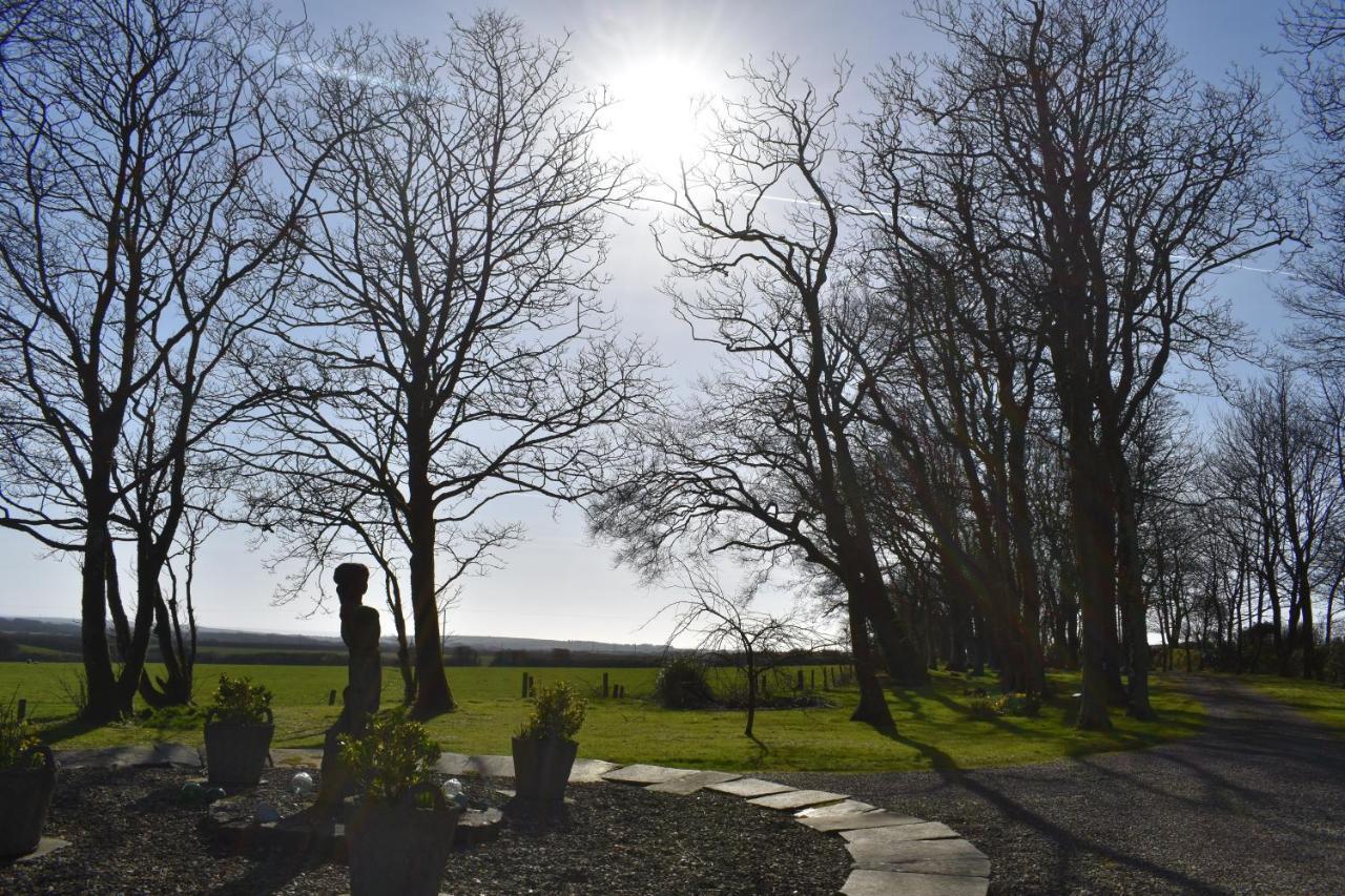 Crug Glas Country House St. Davids  Dış mekan fotoğraf