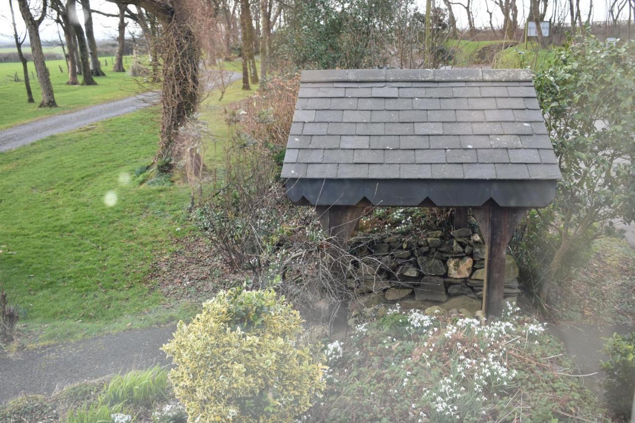 Crug Glas Country House St. Davids  Dış mekan fotoğraf