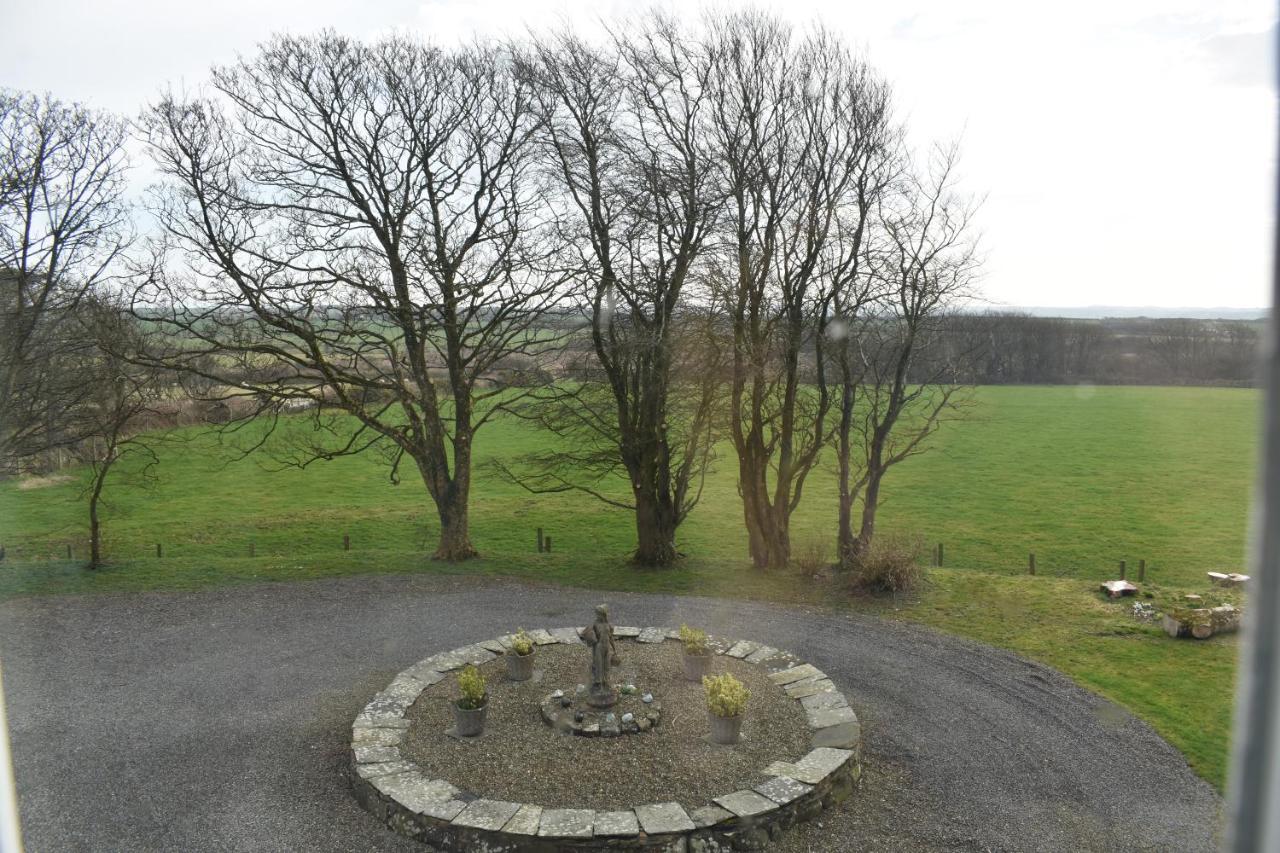 Crug Glas Country House St. Davids  Dış mekan fotoğraf