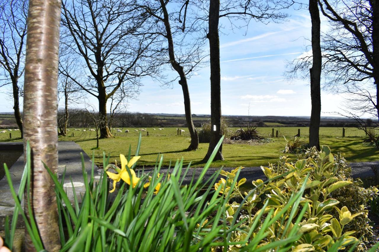 Crug Glas Country House St. Davids  Dış mekan fotoğraf